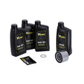 VSpec / MCS Big Oil service kit. Mineral SAE50. Chrome filter – 80-E84 XL Sportster (NU)