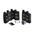 VSpec / MCS Big Oil service kit. Mineral SAE50. Chrome filter – 85-86 FXR (NU)